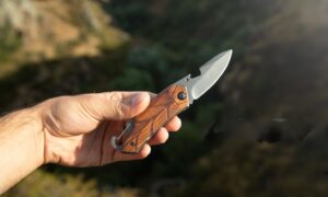 Whittling Knives for Beginners