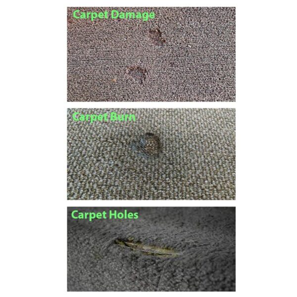 damaged carpets