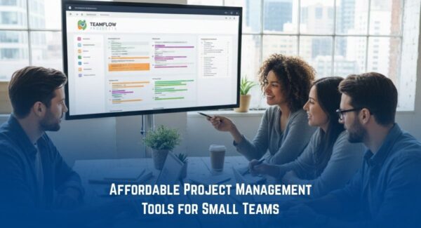 Affordable Project Management Tools for Small Teams